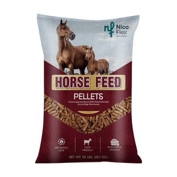 HORSE-min