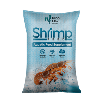 Shrimp Feed-min
